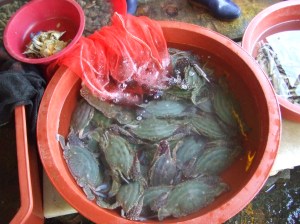 2008_09202008Korea0071