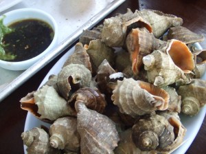 2008_09202008Korea0089