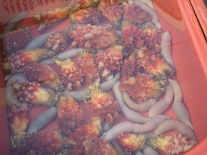 2008_09202008Korea0100